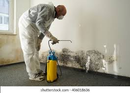 Best Mold Remediation for Healthcare Facilities  in Mount Ida, AR